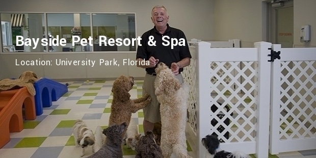 Most Luxurious Pet Resorts