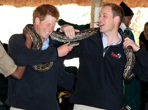 Prince Harry and Prince William Holding a Python