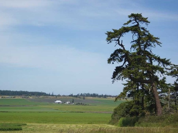 Steve Ballmer property on Whidbey Island