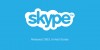 SkypeSuccessStory