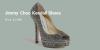 Most Expensive Jimmy Choo Shoes For Women 