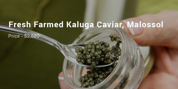Most Expensive Caviar