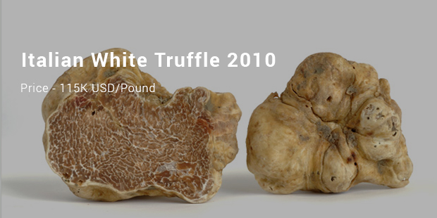 Most Expensive Truffles