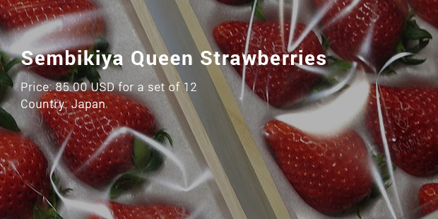 Hasil gambar untuk strawberry sembikiya